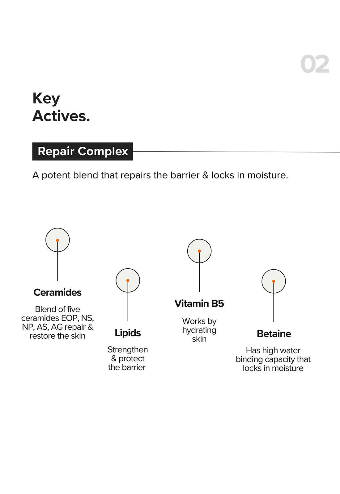 B12 + Repair Complex 5.5% Face Moisturizer - Image 6